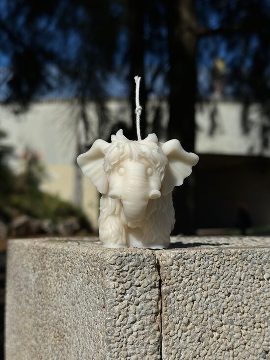 Vela "Mamut"