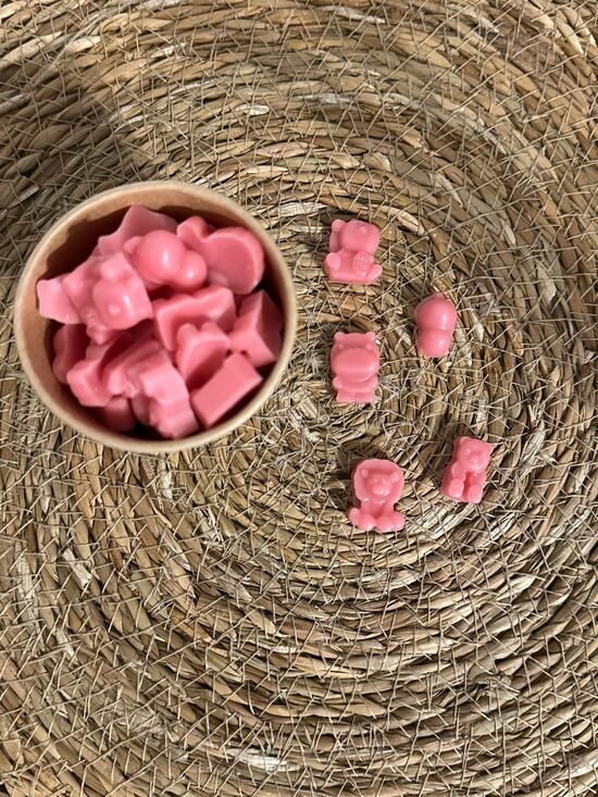 Wax Melts Animales terrestres (Lollipop)
