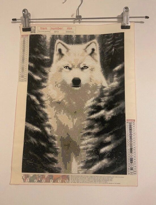 Cuadro "Lobo en la oscuridad"