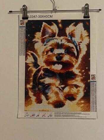 Cuadro "Perrito Yorkshire"