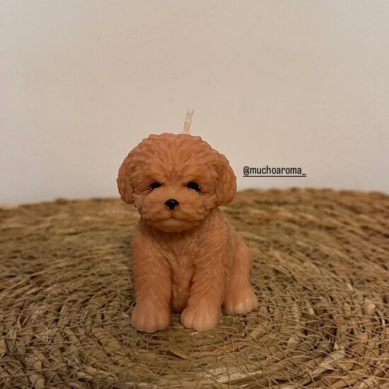 Vela "Caniche"
